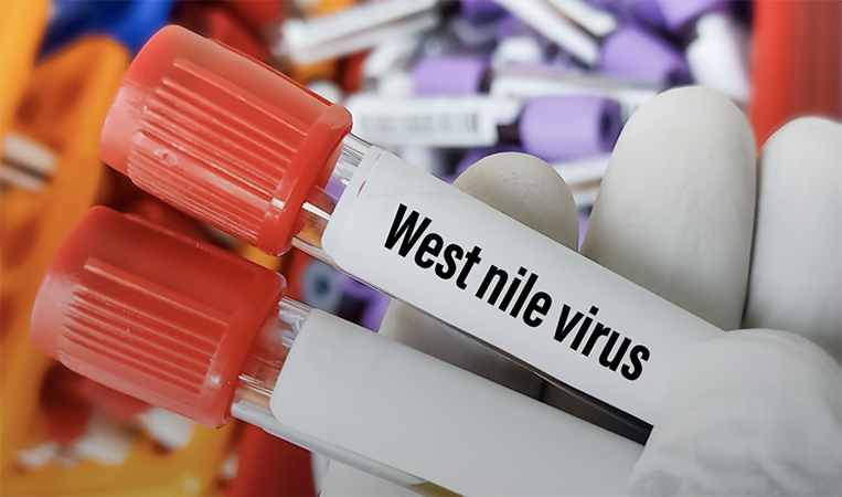 West Nile Virus, le misure di prevenzione 2022